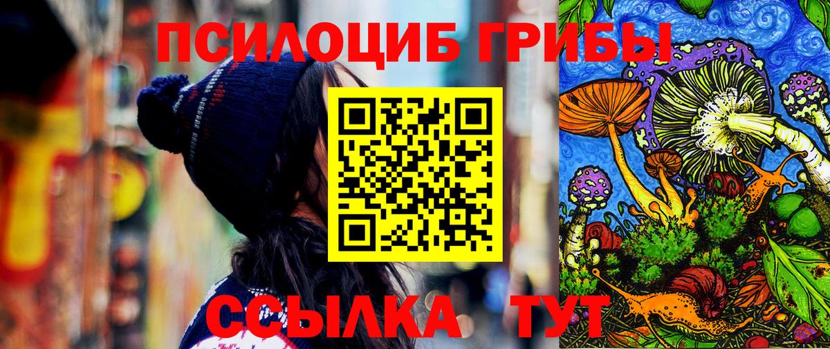 Псилоцибиновые грибы Psilocybe Фрязино