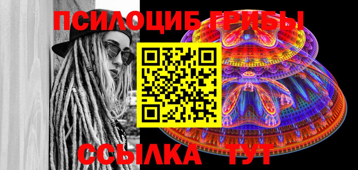 Псилоцибиновые грибы мицелий  где купить наркотик  Фрязино  Вход с VPN 